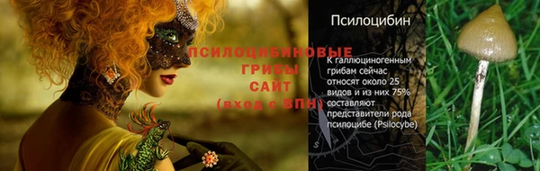 МДПВ Нея