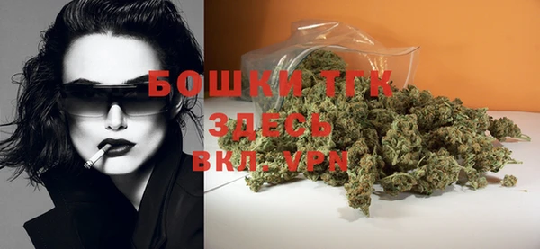 ПСИЛОЦИБИНОВЫЕ ГРИБЫ Абаза