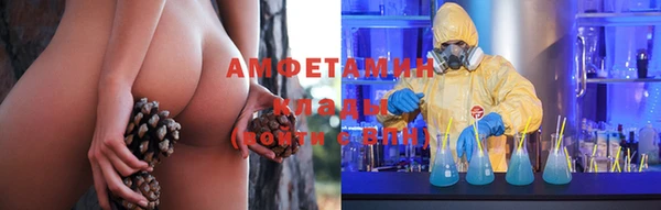 ПСИЛОЦИБИНОВЫЕ ГРИБЫ Абаза
