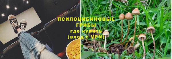 шишки Абинск