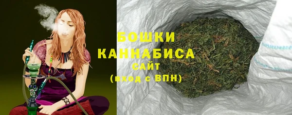 МДПВ Нея