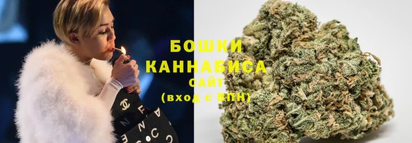 ПСИЛОЦИБИНОВЫЕ ГРИБЫ Абаза